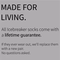 Chaussettes Icebreaker hike liner crew