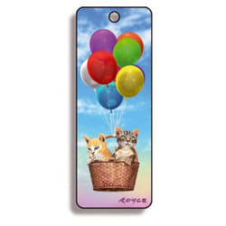 Finson Gatti Multicolore