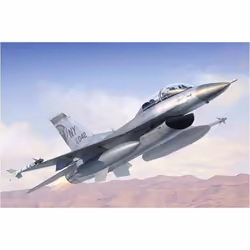 Maquette Avion Militaire : F-16 B/D Fighting Falcon Block - TRUMPETER - Modèle - 15 ans - Garçon - Plastique