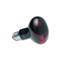 50 w Zoo Med lampe spot infrarouge - Lampe chauffante infra-rouge nocturne Zoo Med