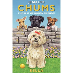 ISBN Bella (Chums) livre Paperback (Print-on-demand)