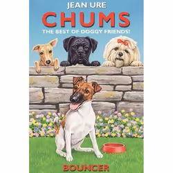 ISBN Bouncer (Chums), Paperback (Print-on-demand), 64 pages