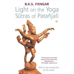 ISBN Light on the Yoga Sutras of Patanjali livre