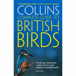 ISBN British Birds: A photographic guide to every common species (Collins Complete Guide), 288 pages
