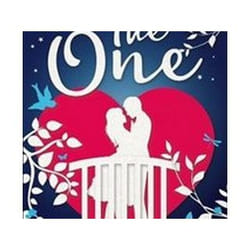 ISBN One livre Roman Anglais