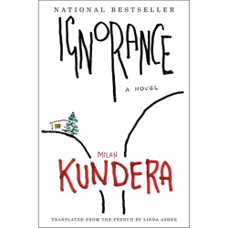 ISBN Ignorance, Livre de poche, 208 pages
