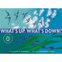 ISBN What's Up, What's Down?, Couverture rigide, 32 pages
