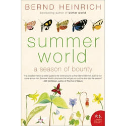 ISBN Summer World livre Livre de poche