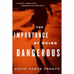 ISBN The Importance of Being Dangerous, Livre de poche, 352 pages