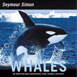 ISBN Whales, Livre broché, 40 pages