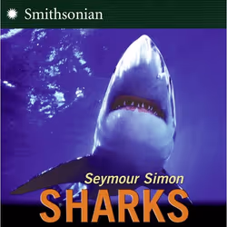 ISBN Sharks, Livre broché, 32 pages