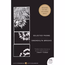 ISBN Selected Poems, Livre de poche, 176 pages