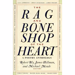 ISBN The Rag and Bone Shop of the Heart, Livre de poche, 560 pages