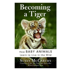 ISBN Becoming a Tiger livre Livre de poche