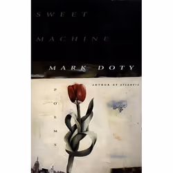 ISBN Sweet Machine, Livre de poche, 132 pages