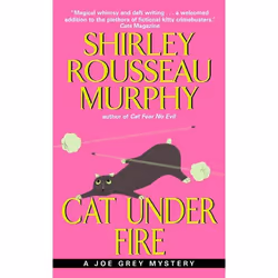 ISBN Cat Under Fire, Édition de poche, 256 pages