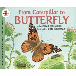 ISBN From Caterpillar to Butterfly Big Book, Livre broché, 32 pages