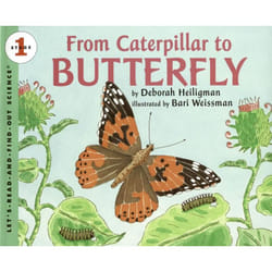 ISBN From Caterpillar to Butterfly Big Book livre
