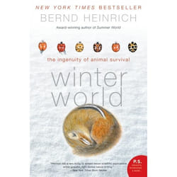ISBN Winter World livre Livre de poche