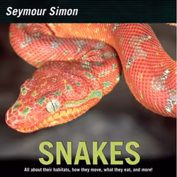 ISBN Snakes, Livre broché, 32 pages