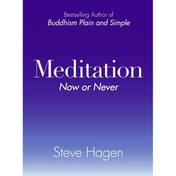 ISBN Meditation Now or Never livre Livre de poche