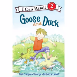 ISBN Goose and Duck, Couverture rigide, 48 pages