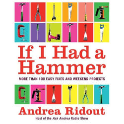 ISBN If I Had a Hammer livre Livre de poche