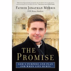 ISBN The Promise, Livre de poche, 240 pages