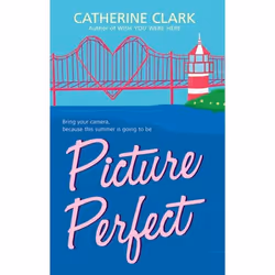 ISBN Picture Perfect, Livre broché, 352 pages