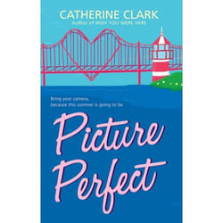 ISBN Picture Perfect livre