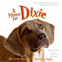 ISBN A Home for Dixie livre