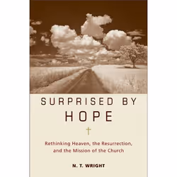 ISBN Surprised by Hope, Couverture rigide, 352 pages