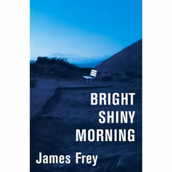 ISBN Bright Shiny Morning, Couverture rigide, 512 pages
