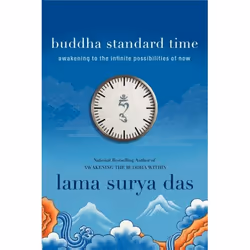 ISBN Buddha Standard Time, Livre de poche, 224 pages