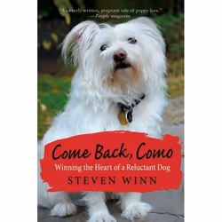 ISBN Come Back, Como, Livre de poche, 288 pages