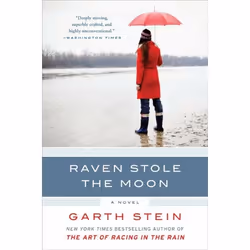 ISBN Raven Stole the Moon, Livre de poche, 464 pages
