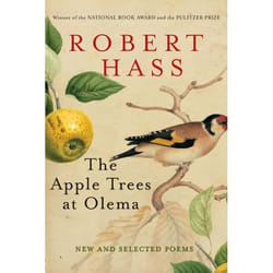 ISBN The Apple Trees at Olema livre Livre de poche