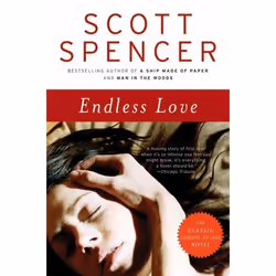 ISBN Endless Love, Livre de poche, 448 pages