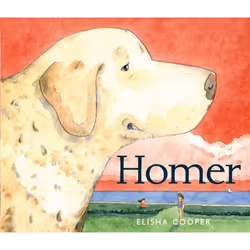 ISBN Homer, Couverture rigide, 32 pages