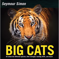 ISBN Big Cats, Couverture rigide, 40 pages