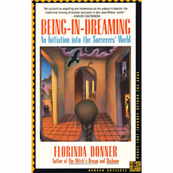 ISBN Being-in-Dreaming, Livre de poche, 320 pages