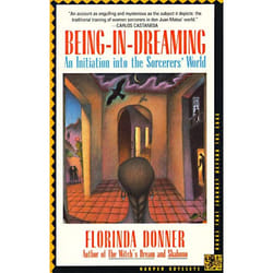 ISBN Being-in-Dreaming livre Livre de poche