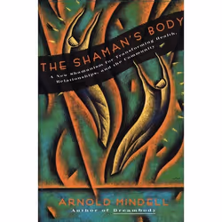 ISBN The Shaman's Body, Livre de poche, 256 pages