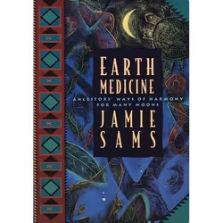 ISBN Earth Medicine, Livre de poche, 400 pages