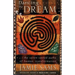ISBN Dancing the Dream, Livre de poche, 288 pages