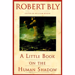 ISBN A Little Book on the Human Shadow, Livre de poche, 96 pages