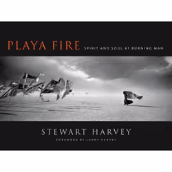 ISBN Playa Fire, Couverture rigide, 336 pages