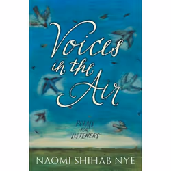 ISBN Voices in the Air, Couverture rigide, 208 pages