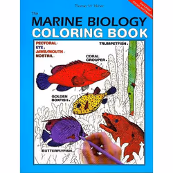 ISBN The Marine Biology Coloring Book, 2nd Edition, Livre de poche, 272 pages