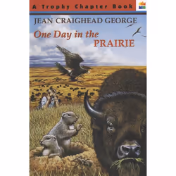 ISBN One Day in the Prairie, Livre broché, 64 pages